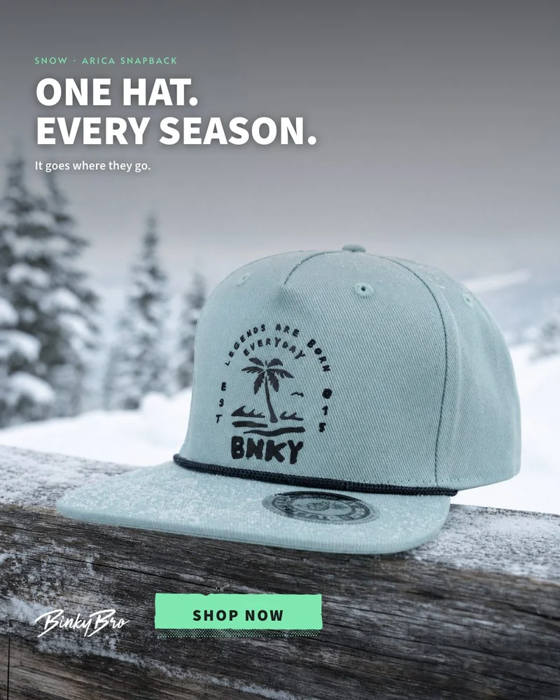 BRCG work: BinkyBro · paid social
