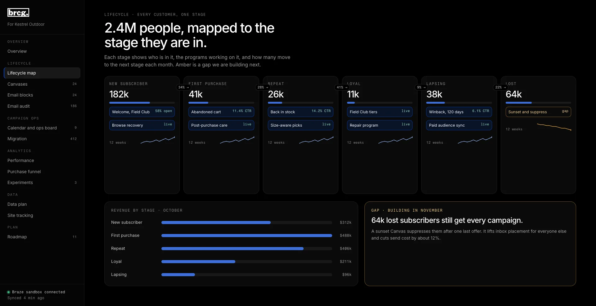 Lifecycle map inside the client portal: every customer stage and the programs working on it